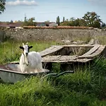 Maison 5 Hébergement de vacances
