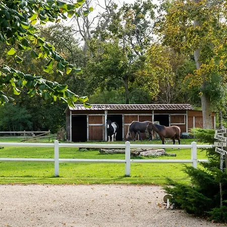 Maison 5 *