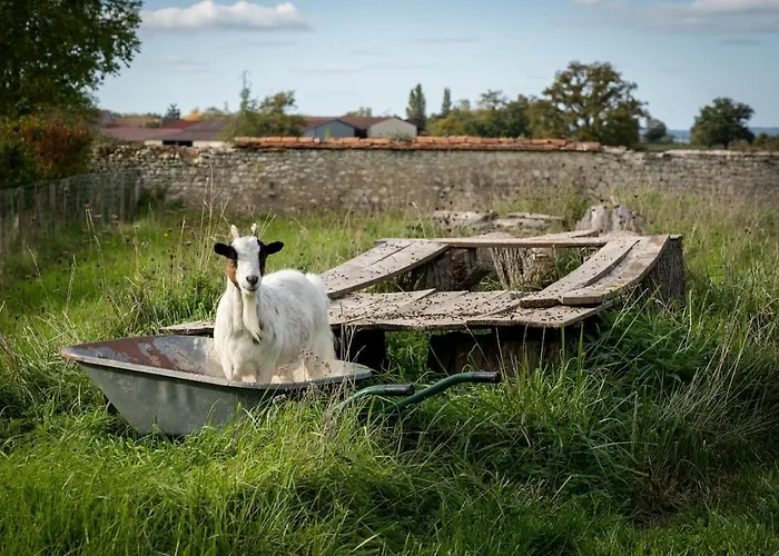 Maison 5 Hébergement de vacances